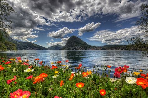 totallyfreecam switzerland